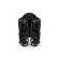 Carucior sport momi grace black