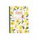 Carte de colorat minouchkas moulin roty