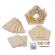 Construieste casuta pasarelelor melissa and doug