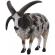 Figurina jacob sheep l collecta