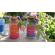 Set creativ - accesoriile magice ale zanei
