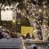 Instalatie de craciun, lumini alb, 100 led, fir verde