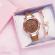 Ceas de dama geneva exclusive brown