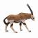 Papo figurina antilopa oryx