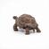 Papo figurina testoasa galapagos