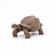 Papo figurina testoasa galapagos