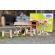 Papo figurina set poney club-boxa carton+4 figurine