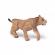 Papo figurina smilodon tanar