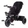 Tricicleta chipolino smart cu sezut reversibil raven