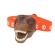 Lanterna de cap t-rex