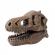Kit de sapat - craniu t-rex de muzeu