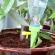 Set 5 picuratoare plante, plastic, verde