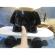 Lampa de veghe catel malplay alb&negru cu incarcare usb, 25 cm