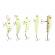 Set vobler 5 piese fluorescent pentru pesti pradatori, avx-ag103c