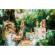 Primul set de crescut plante, orange tree toys