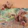 Set magnetic animale din padure, egmont toys