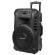 Sistem portabil sd bluetooth usb 12 inch 20w