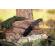 Cutit de vanatoare ideallstore®, survival avenue, otel inoxidabil, 23 cm, negru