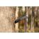 Cutit de vanatoare ideallstore®, survival avenue, otel inoxidabil, 23 cm, negru