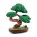 Set figurine 5 surprise - botanical garden mini brands, s1