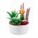 Set figurine 5 surprise - botanical garden mini brands, s1