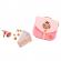 Set gentuta de calatorie cu accesorii disney princess