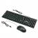 Set tastatura si mouse q-k20