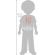 Purcel - jucarie plus wild republic 13 cm