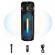 Boxa portabila zqs8267, bt, microfon wireless, 120w p.m.p.o, 80cm