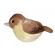 Pasare cu sunet privighetoare - nightingale