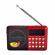 Radio fm portabil yg011, usb/tf/aux, acumulator, diverse culori