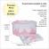 Set elegant trusou botez, cutie trusou si lumanare, decor dantela roz diafana,