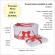 Set trusou botez, cutie trusou si lumanare, decor elegant dantela rosie,