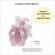 Set trusou botez, cutie trusou si lumanare personalizata cu nume, decor roz