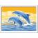 Pictura pe numere ravensburger - delfini
