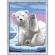 Pictura pe numere ravensburger - urs polar