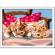 Pictura pe numere pisicute ravensburger