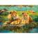 Puzzle familie de lei 500 piese