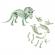 Set educativ - descopera dinozaurul triceratops