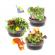 Set creativ casuta cu gradina din copac