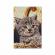 Set margele de calcat beedz art - pisica