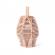Set constructie din lemn - caramizi natur karla 200 piese