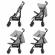 Carucior sport kidwell nelli gray graphite
