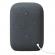 Google nest audio charcoal