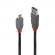 Cablu lindy 1m usb 2.0 type a - microusb