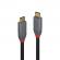 Cablu lindy usb c-usb c anthra 2m negru