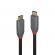 Cablu lindy usb c-usb c anthra 2m negru