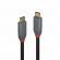 Cablu lindy usb c-usb c anthra 2m negru