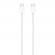 Apple magic mouse multi-touch white