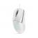 Lenovo legion m300s rgb gaming mouse wh